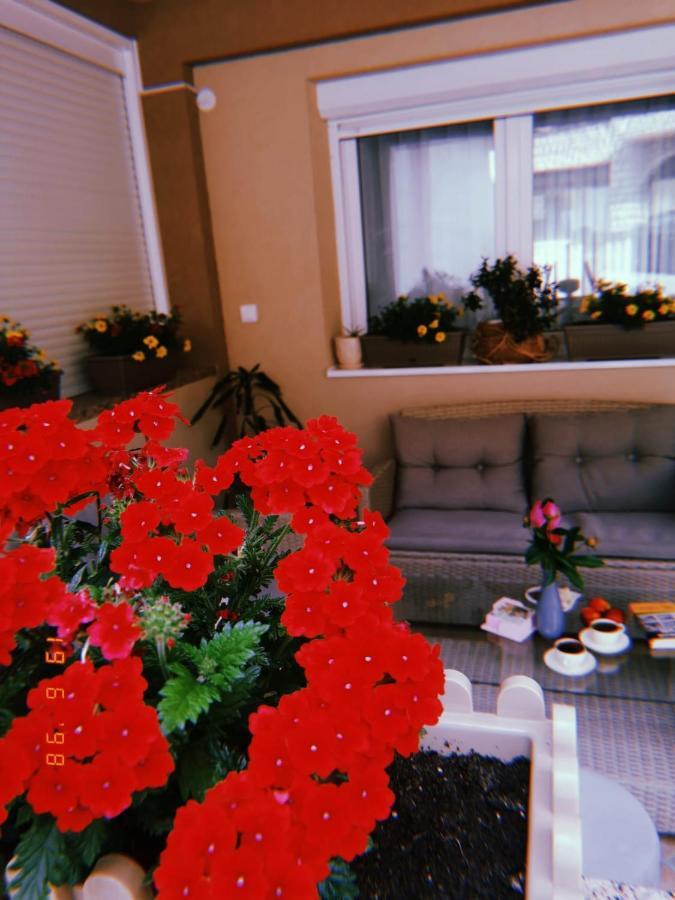 Apartman Jela Nova Varos Ngoại thất bức ảnh