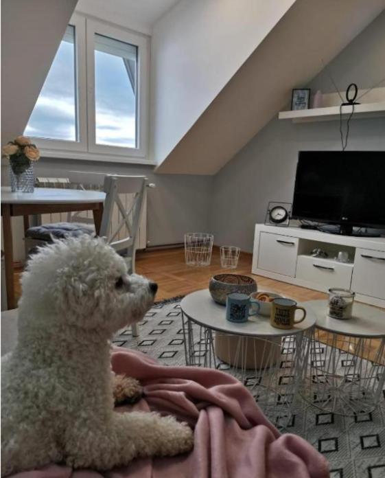 Apartman Jela Nova Varos Ngoại thất bức ảnh
